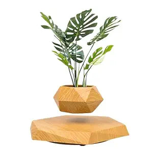 Gravity-Defying Wooden Planter - Levitates and Rotates | Ideal for Bonsai | Elegant Home and Office Decor | Perfect Unique Gift