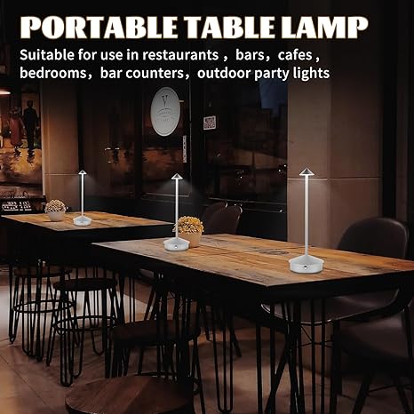 Table Lamp, LED Rechargeable Lamp, Lamps for Home Decoration, Night Lamp for Bedroom, Lamp for Bedroom, Bedside Lamp, Light Lamp, Stepless Dimming, 3 Colour Touch Control - Metal (Silver)