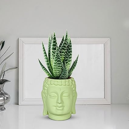 Small Buddha 3.5" Ceramic Pots for Indoor Plants, Planters, Flower, Pots, gamla,Outdoor,Balcony,Home,Round,Garden, Office Decor,Succulent (H - 9 X D - 8.5 cm) (LIHGT GREEN)